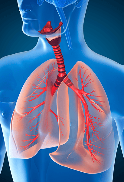 viropower-sideimage-500x732_lungdisease