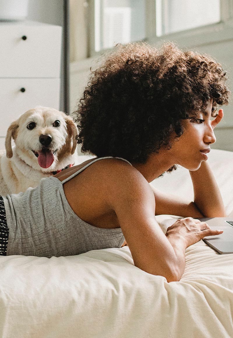 viropower pets and humans